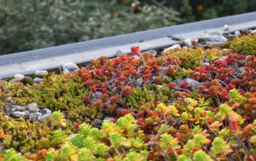 the cost of Torryburn green roof installation