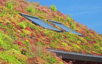 Torryburn living roof systems