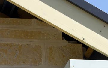 soffit repair Torryburn