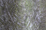 Torryburn fibreglass roof work